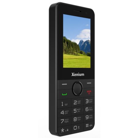 Мобильный телефон Xenium X170 черный