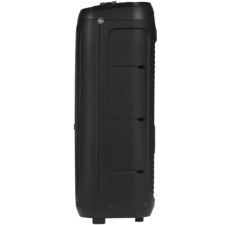 Портативная аудиосистема Telefunken TF-PS1281B (черный)