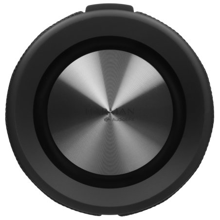 Портативная аудио колонка Xiaomi Bluetooth Speaker (QBH4275GL)