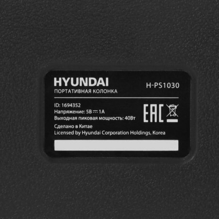 Портативная колонка Hyundai H-PS1030 черный/черный 40 Вт 2.0 BT 10м 3600mAh