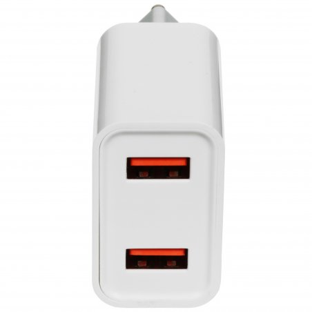 Сетевое зарядное устройство GoPower GP2U 2USB 2.4A 12W белый (1/108)