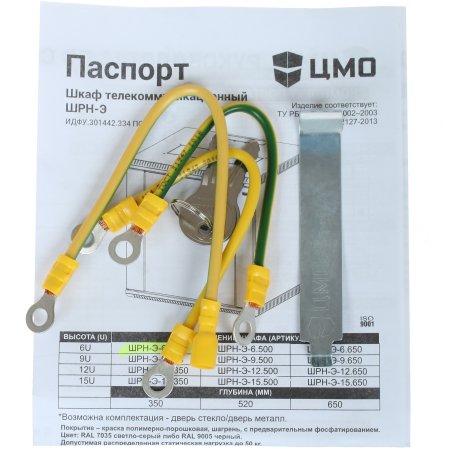 Шкаф настенный ЦМО ШРН-Э-6.350 6U 600x350 мм пер. дв. стекл несъемные бок. пан. серый