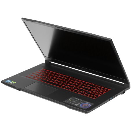Ноутбук MSI Katana 17 B12UCR-1466XRU черный Intel Core i5-12450H/16Gb/SSD 1Tb/RTX 3050 4Gb/17.3"/IPS/FHD/144Hz/NoOS
