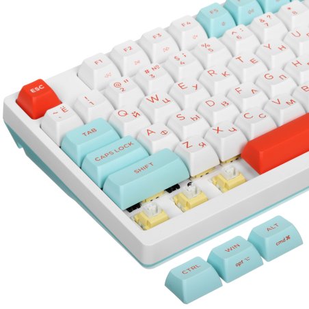 Клавиатура проводная A4Tech Fstyler FS300 (FS300 PANDA SNORKLENING), USB, белый