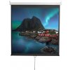 Экран 200x200см Digis Optimal-D DSOD-1105 1:1 настенно-потолочный рулонный