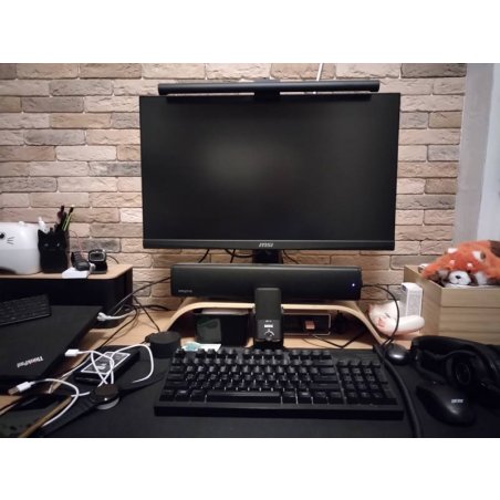 Монитор 24" MSI MPG 242R X60N TN FHD, 600 Гц, 0.1 мс (GtG), 16:9, 500 кд/м², HDMI 2.1 x2, DP 1.4a, USB-C (98 Вт PD), DisplayHDR 400, Adaptive-Sync, RGB-подсветка, черный