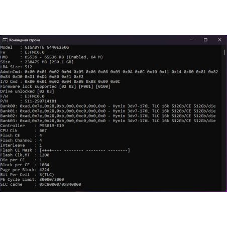 Накопитель SSD Gigabyte 4000E (G440E500G), 500Gb, PCIe 4.0 x4, M.2 2280, NVMe, R/W 3600/3000