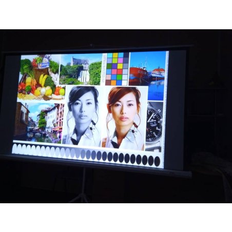 Экран Sakura 200x200см TriScreen 1:1 напольный рулонный белый 111' Matt White (MW), черный корпус