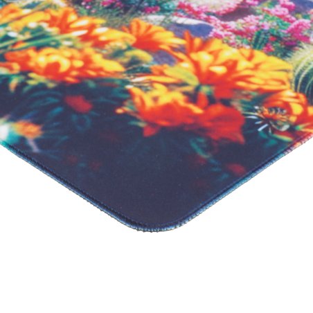 Коврик для мыши Cactus Desert landscape 900x400x3мм (CS-MP-PRO15XXL)