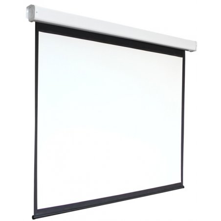 Экран 220x300см Digis Electra-F DSEF-4305 4:3 настенно-потолочный рулонный (моторизованный привод)