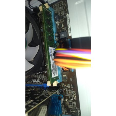 Оперативная память Patriot Signature PSD34G16002, DDR3, 4GB (1x4 GB), 1600 MHz, CL11