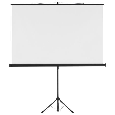 Экран Cactus 160x160см TriExpert CS-PSTE-160x160-BK 1:1 напольный рулонный