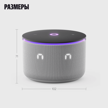 Умная колонка Яндекс Станция Мини 3 Про с Алисой, Zigbee, серый, YNDX-00059GRY