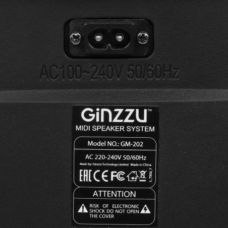 Акустическая система Ginzzu GM-202 Midi, RGb/BT/USB/SD/FM/ДУ