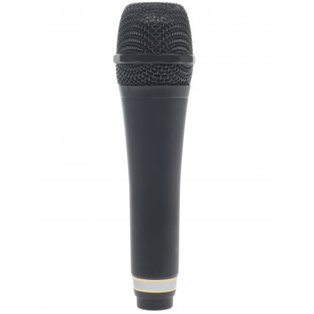 Микрофон Ritmix RWM-101 черный