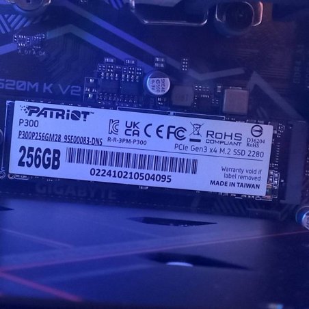 Накопитель SSD Patriot P300, 256Gb, PCIe 3.0 x4, M.2 2280, NVMe, R/W 1700/1100
