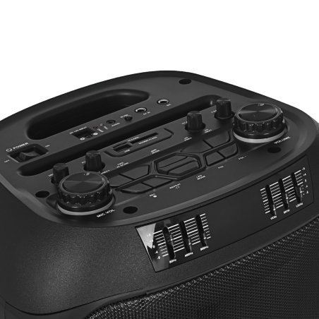 Колонка Eltronic 08" (30-38 CRAZY BOX) динамик 2шт/8" с TWS 80 Вт черный