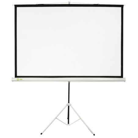 Экран Cactus 150x150см Triscreen CS-PST-150x150 1:1 напольный рулонный белый