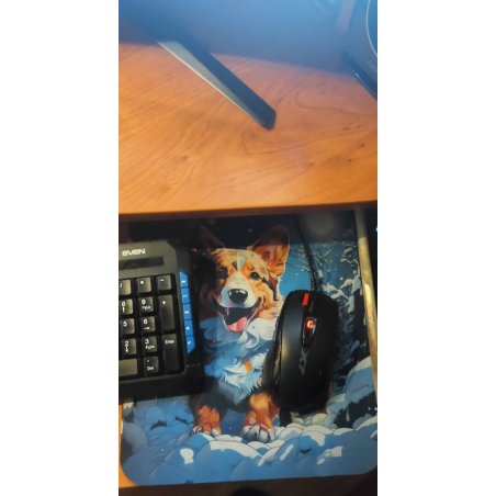 Коврик для мыши Cactus Corgi 300x250x3мм (CS-MP-D13M)