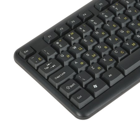 Клавиатура проводная ExeGate Professional Standard LY-405 (EX287138RUS), USB, черный