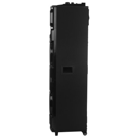 Колонка Eltronic 15" динамик 2шт/15" с TWS черный