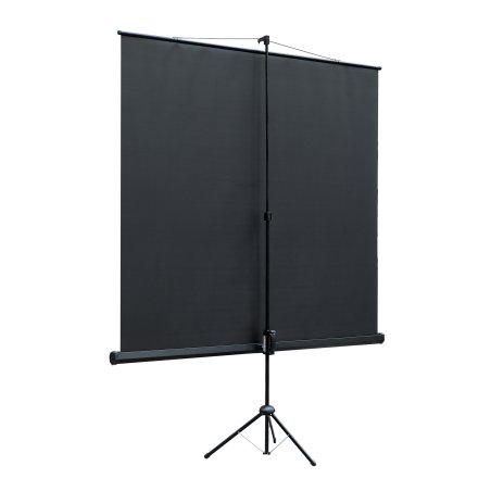 Экран на треноге Lumien 200x200см Eco View LEV-100103 1:1 напольный рулонный