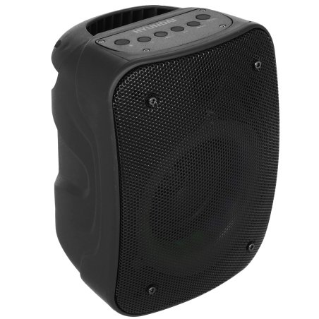 Портативная колонка Hyundai H-PS1005 черный 20 Вт 1.0 BT 10м 1800mAh