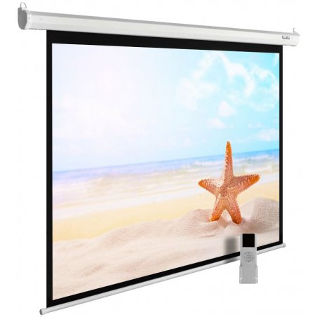 Экран Cactus 138x220см SIlverMotoExpert CS-PSSME-220X138-DG 16:10 настенно-потолочный рулонный темно-серый (моторизованный привод)