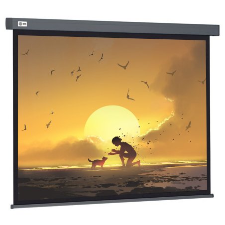 Экран Cactus 124.5x221см Wallscreen CS-PSW-124X221-SG 16:9 настенно-потолочный рулонный серый