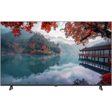 Телевизор Haier 55" DH1VMND02RU черный Direct LED 4K UHD 60Hz Android SMART TV