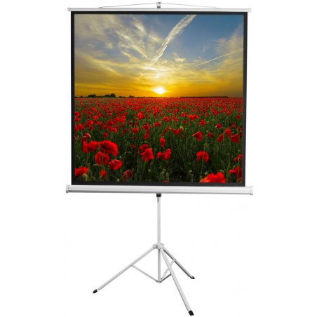 Экран 172x172см Digis Kontur-D DSKD-1104 1:1 напольный рулонный
