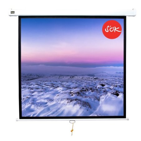 Экран 127x127см Wallscreen 1:1 настенно-потолочный рулонный белый71'