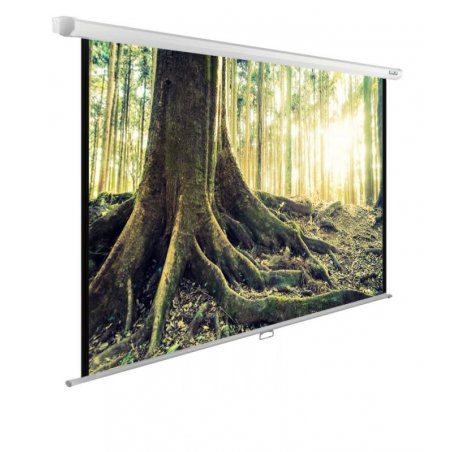 Экран Cactus 220x220см WallExpert CS-PSWE-220x220-WT 1:1 настенно-потолочный рулонный