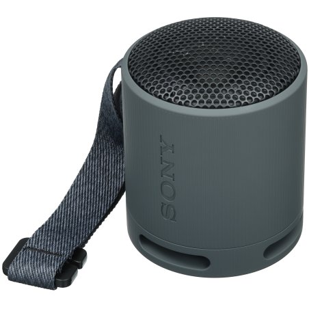 Беспроводная колонка Sony SRS-XE300, черный