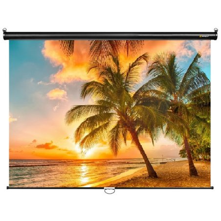 Экран 160x160см Digis Optimal-C DSOC-1101 1:1 настенно-потолочный рулонный
