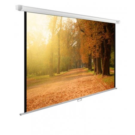 Экран Cactus 125x200см WallExpert CS-PSWE-200x125-WT 16:10 настенно-потолочный рулонный