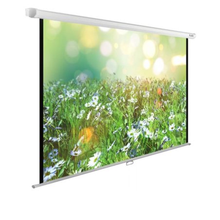 Экран Cactus 200x200см WallExpert CS-PSWE-200x200-WT 1:1 настенно-потолочный рулонный