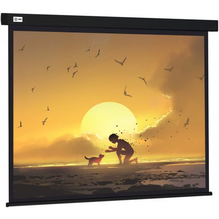 Экран Cactus 150x150см Wallscreen CS-PSW-150X150-BK 1:1 настенно-потолочный рулонный черный