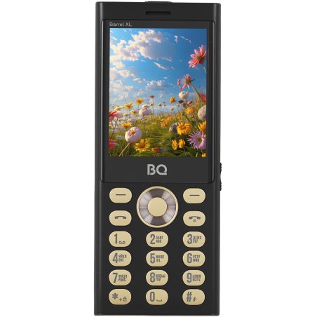 Мобильный телефон BQ 2458 Barrel L черный/золотистый