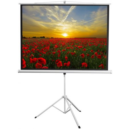 Экран 180x240см Digis Kontur-D DSKD-4304 4:3 напольный рулонный