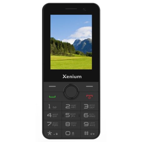 Мобильный телефон Xenium X170 черный