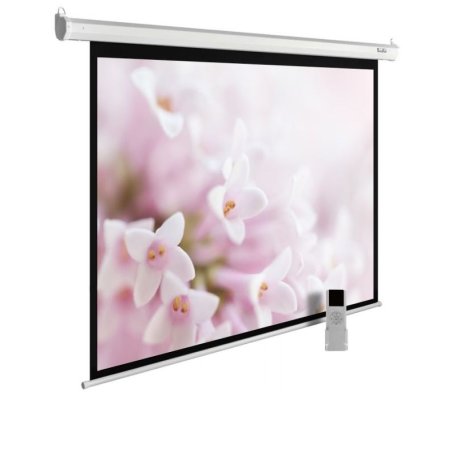 Экран Cactus 240x240см MotoExpert CS-PSME-240x240-WT 1:1 настенно-потолочный рулонный белый (моторизованный привод)