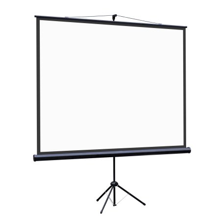 Экран на штативе Lumien Eco View 128x171см (раб.область122х165 см) Matte White с возможностью настенного крепления 4:3