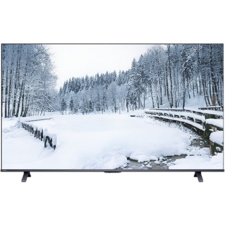 Телевизор QLED Entry 55M450RE RU TOSHIBA