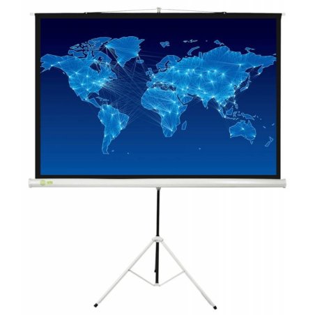 Экран Cactus 150x150см Triscreen CS-PST-150x150 1:1 напольный рулонный белый