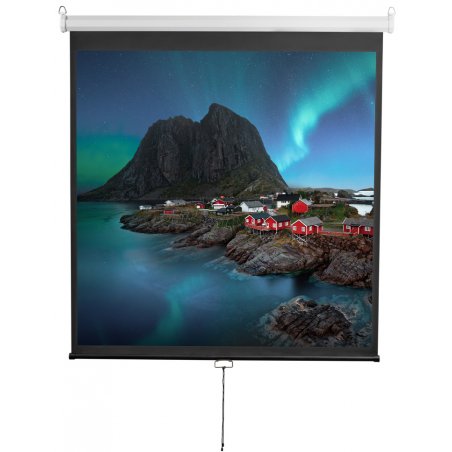 Экран 200x200см Digis Optimal-D DSOD-1105 1:1 настенно-потолочный рулонный