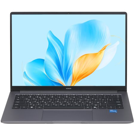 Ноутбук Honor MagicBook X14 FRG-X 14", 2025, IPS, Intel Core i5 13420H 2.1ГГц, 8-ядерный, 16Gb LPDDR4x, 512Gb SSD, Intel UHD Graphics, FreeDOS, серый