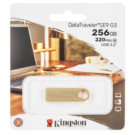 Флешка USB Kingston 256Gb DataTraveler SE9 DTSE9G3/256Gb USB 3.0 серебристый