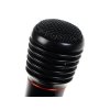 Микрофон Ritmix RWM-100 черный