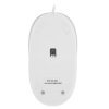 Мышь проводная Genius DX-Mini розовый, 1000 dpi, USB, кнопки - 3